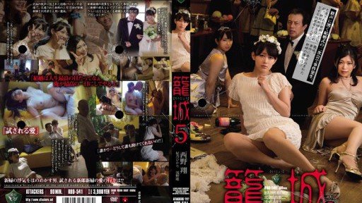  Mẹ Kế Của Tôi Sho Nishino Iphone Apps